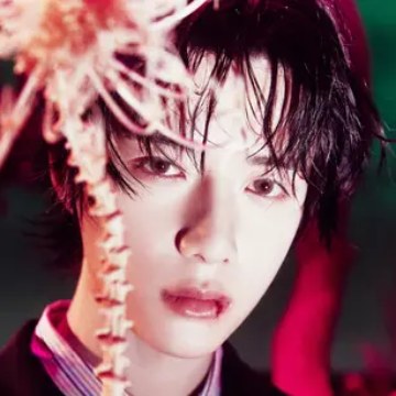 범규